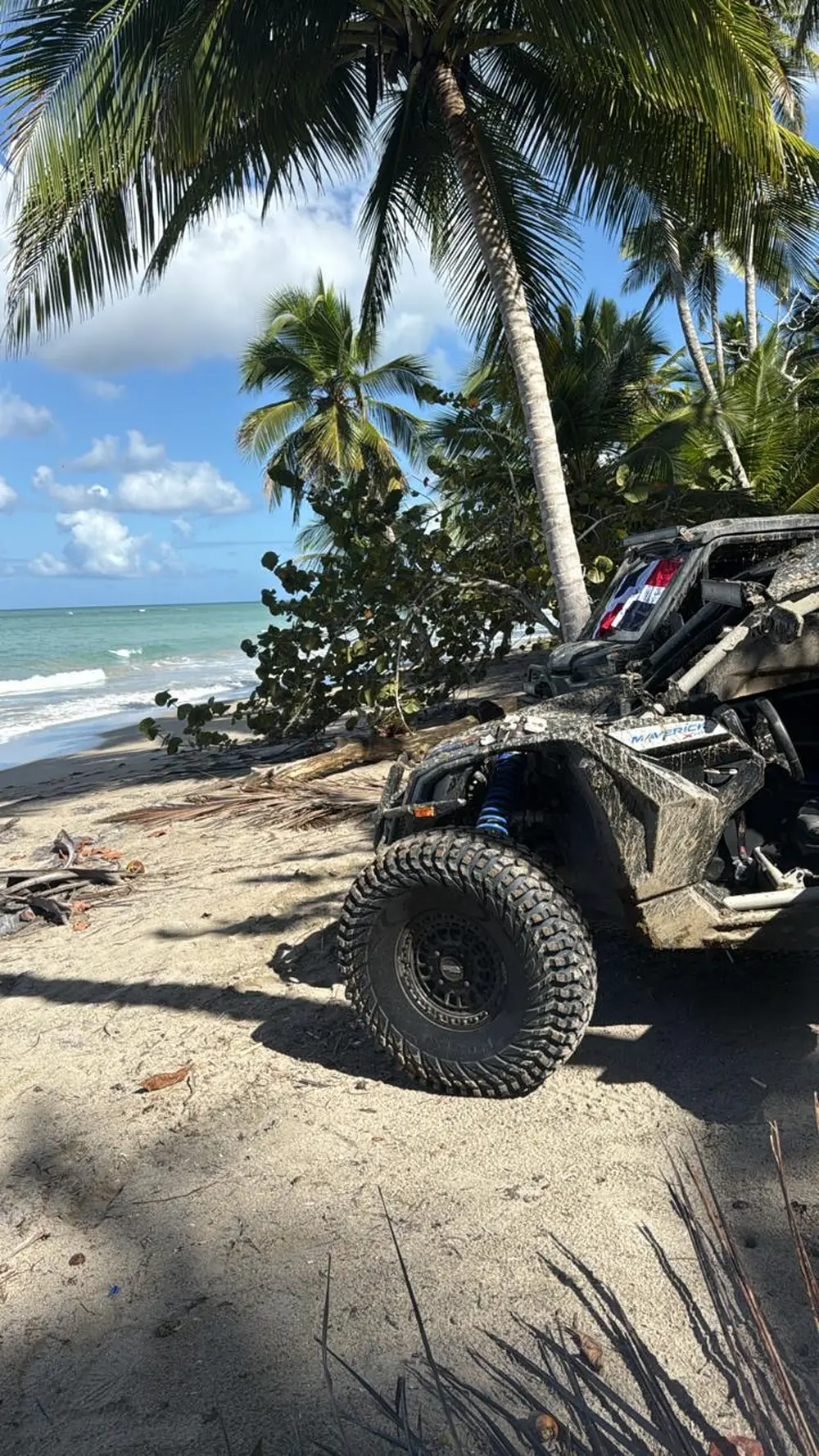 Buggy en la playa, entre palmas